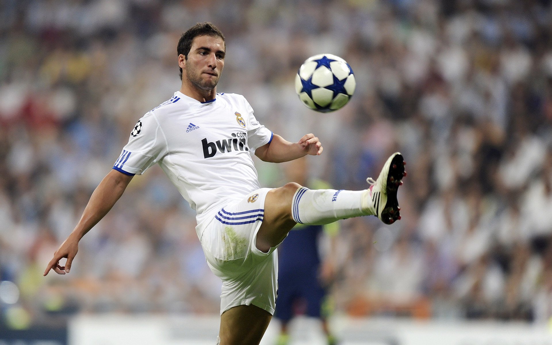 铁壁围城,深圳队窒息式防守锁死奇才,霍勒迪化身关键先生定乾坤